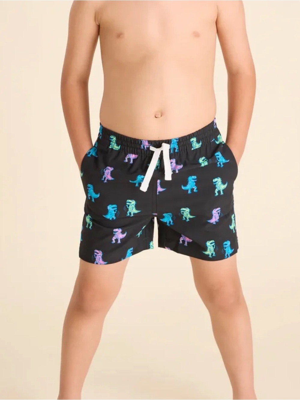 CHUBBIES - The Bodacious Cretaceous Swim Trunk